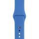 Ремінець Silicone Band для Apple Watch 42mm | 44mm | 45mm | 46mm | 49mm Blue sb0021 фото