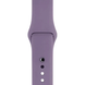 Ремінець Silicone Band для Apple Watch 42mm | 44mm | 45mm | 46mm | 49mm Blueberry sb0051 фото