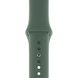 Ремінець Silicone Band для Apple Watch 42mm | 44mm | 45mm | 46mm | 49mm Pine Green sb0161 фото